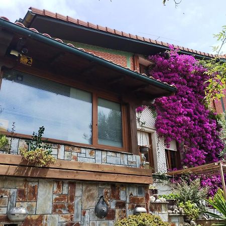 Kostanalu Rooms Plentzia Exteriér fotografie